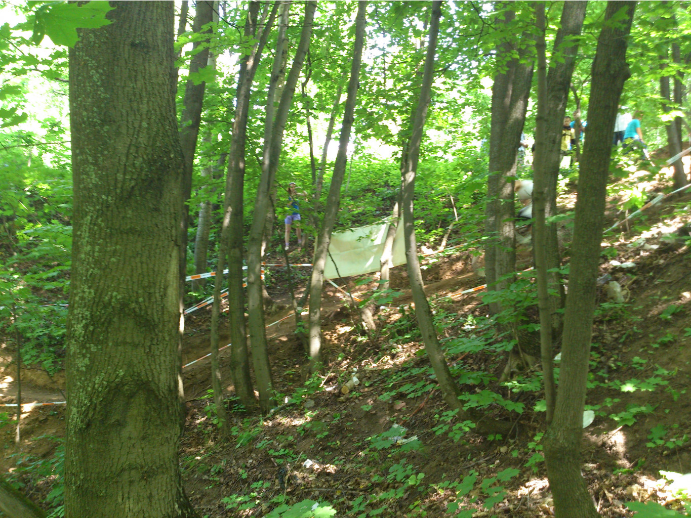 DSC_0041.jpg