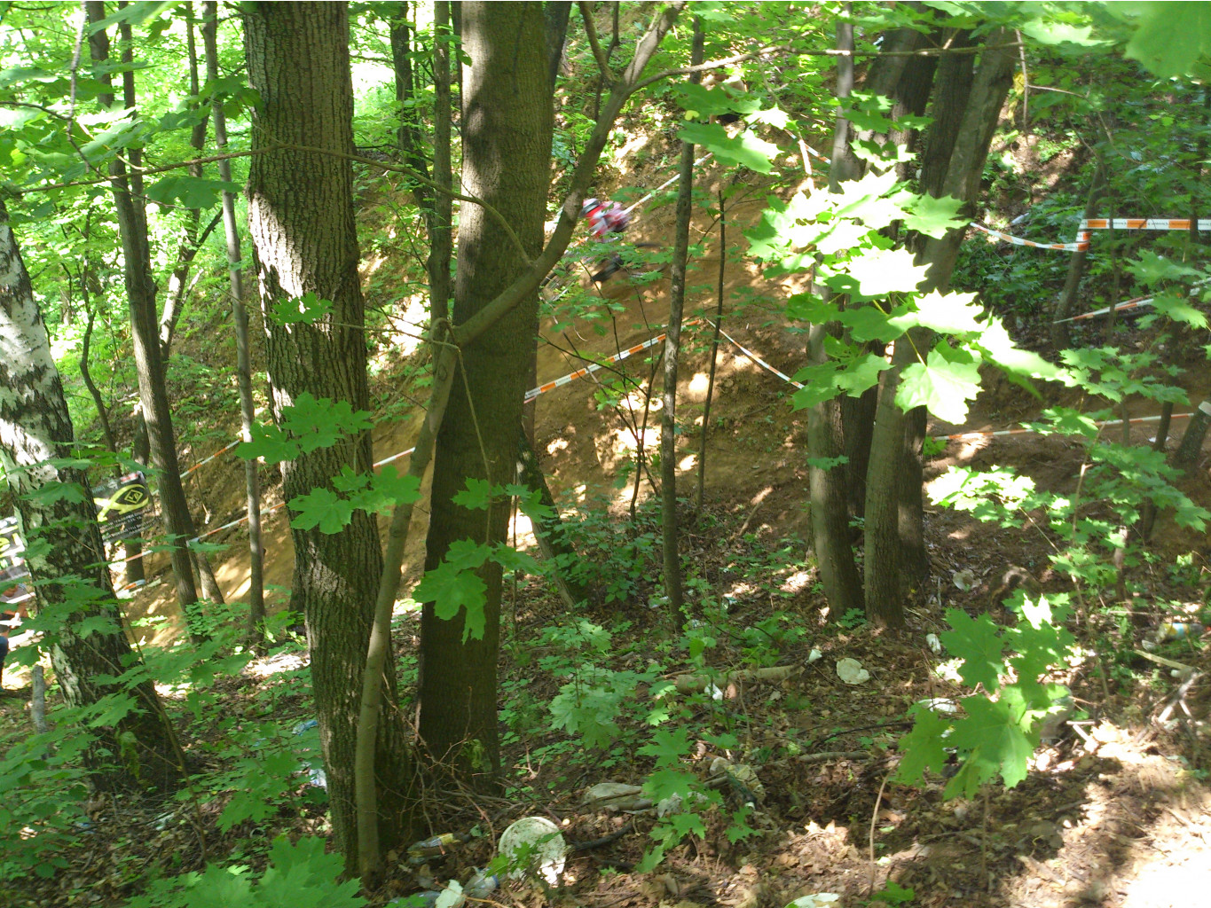 DSC_0050.jpg