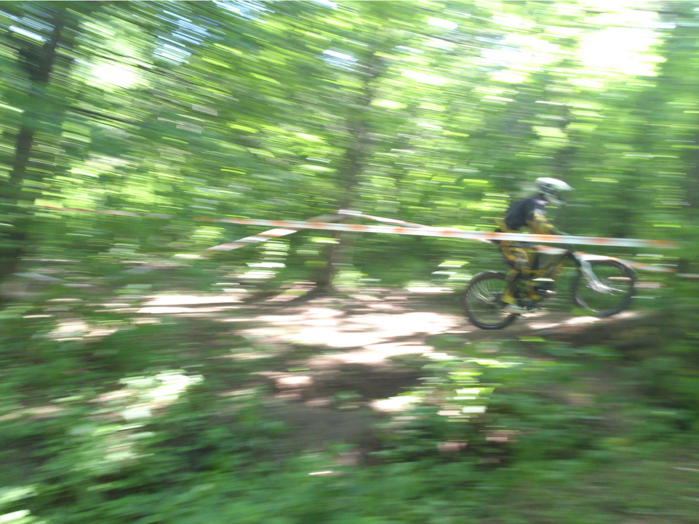 DSC_0071.jpg