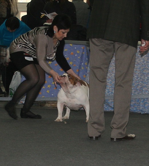   CACIB   24/11/2012