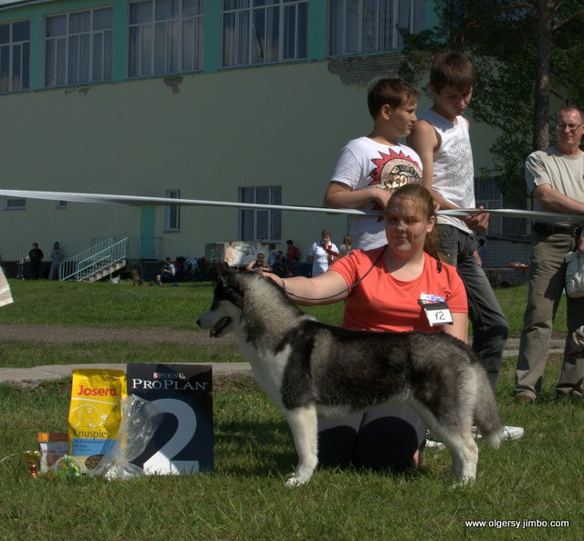 7471853.233-DSC_4365.jpg
