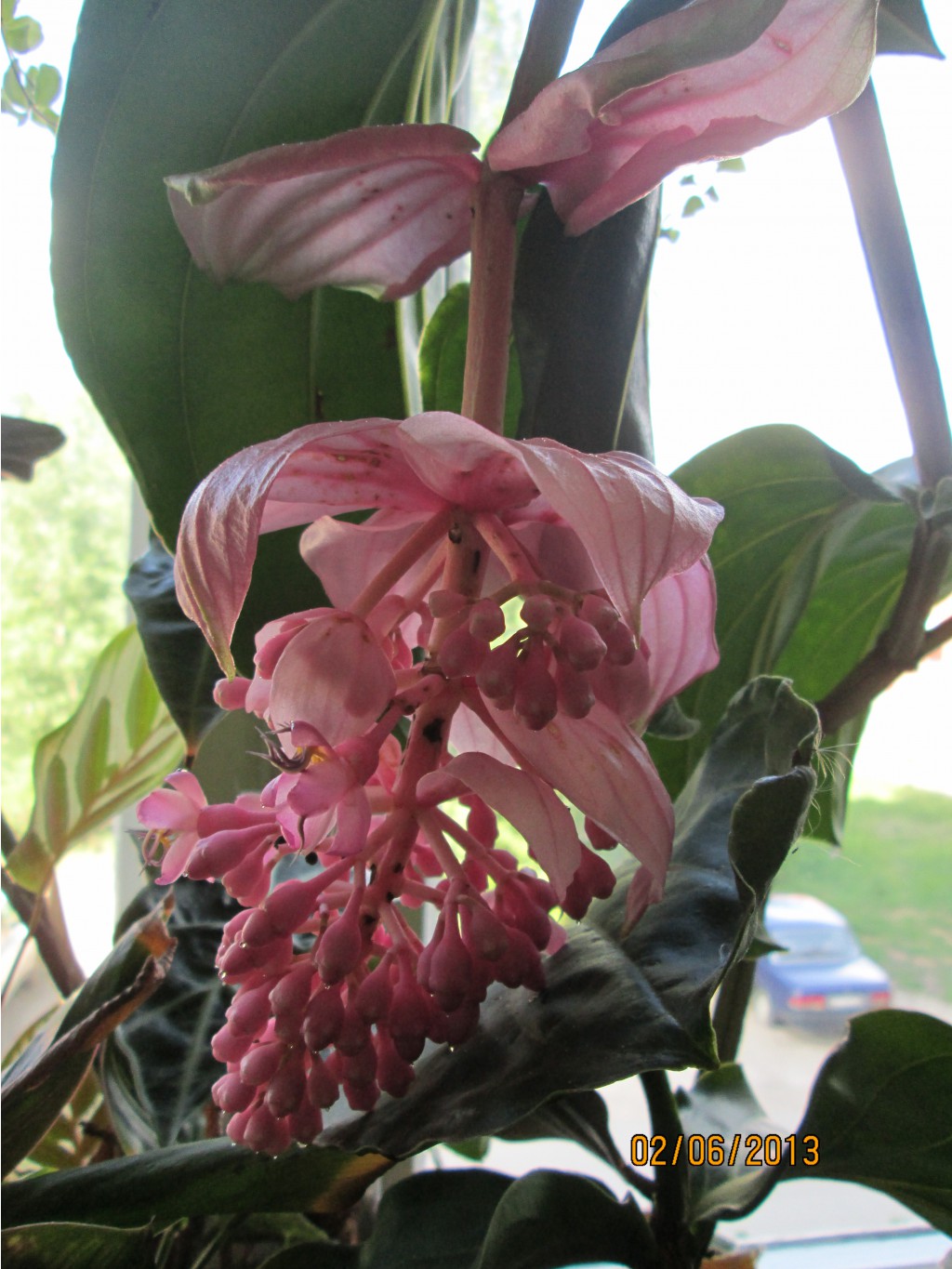 IMG_0892.JPG