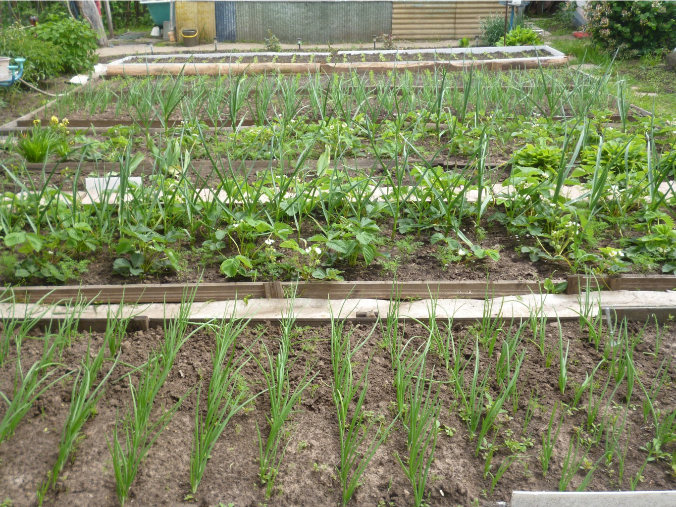 P1000648.JPG