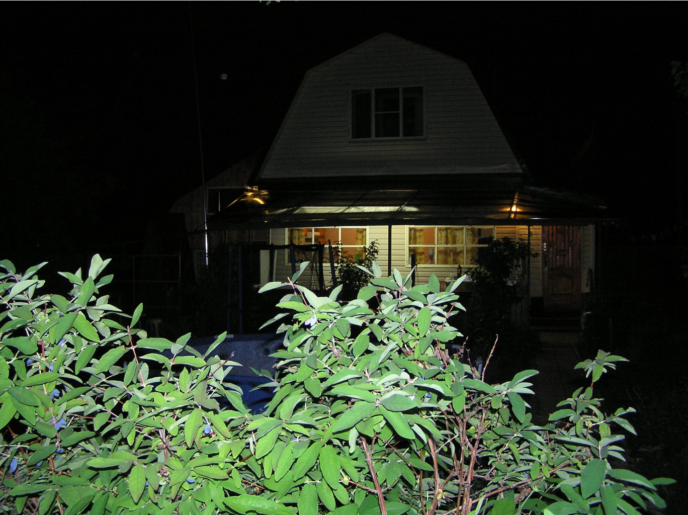 P6020467.JPG