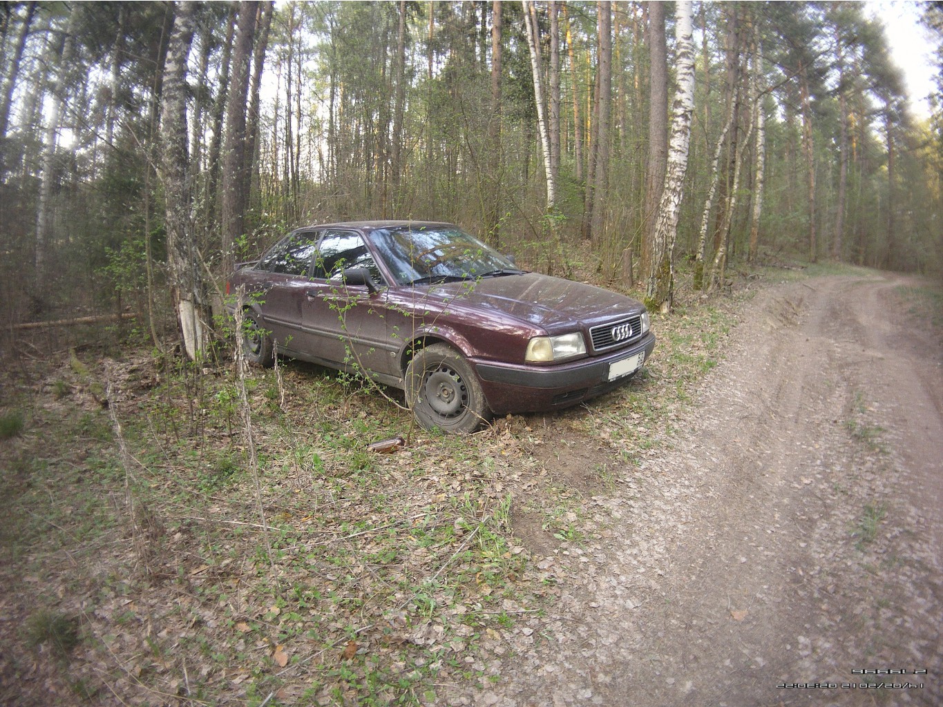 AMBA2904.JPG