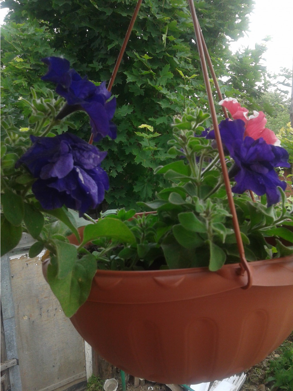 20130612_140059.jpg