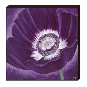 99209с 30-30.png