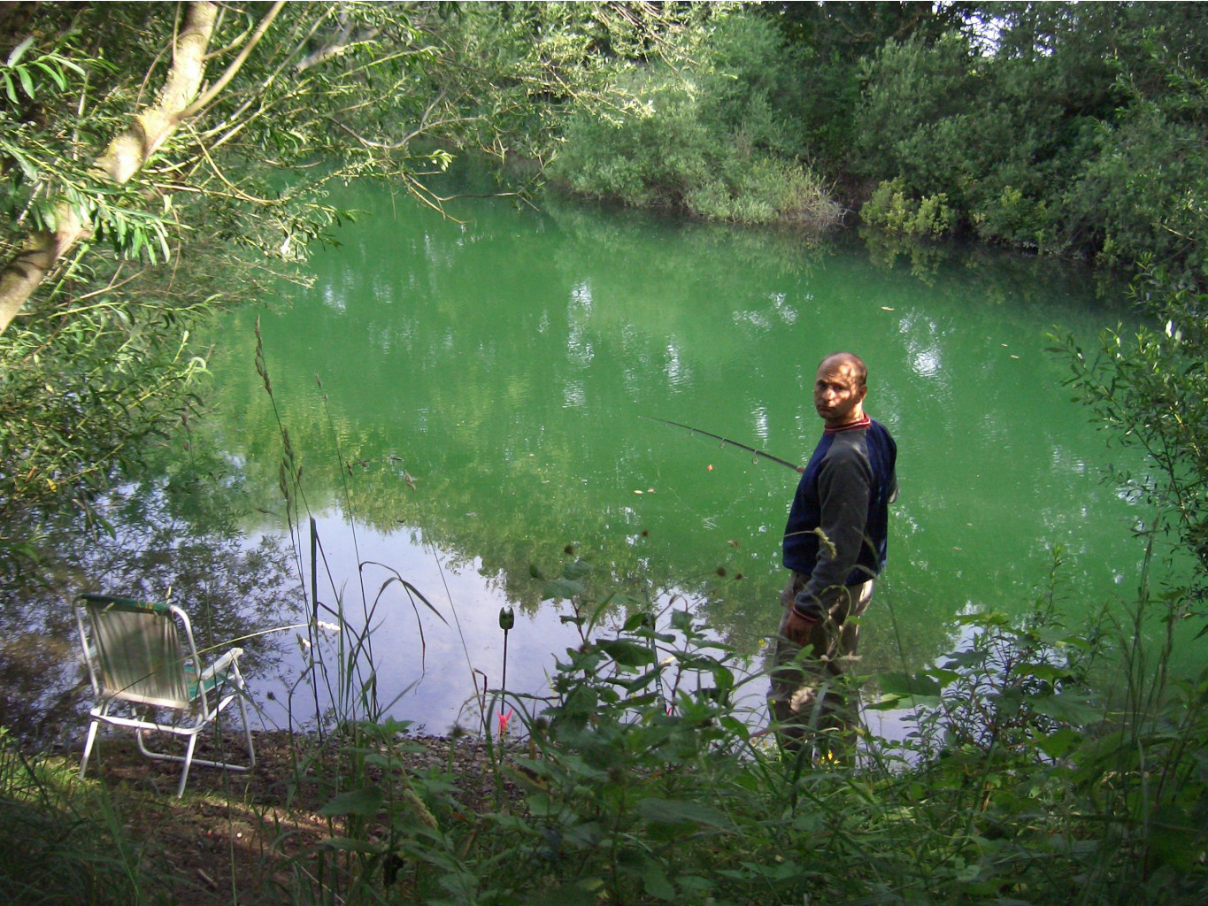   ...2007