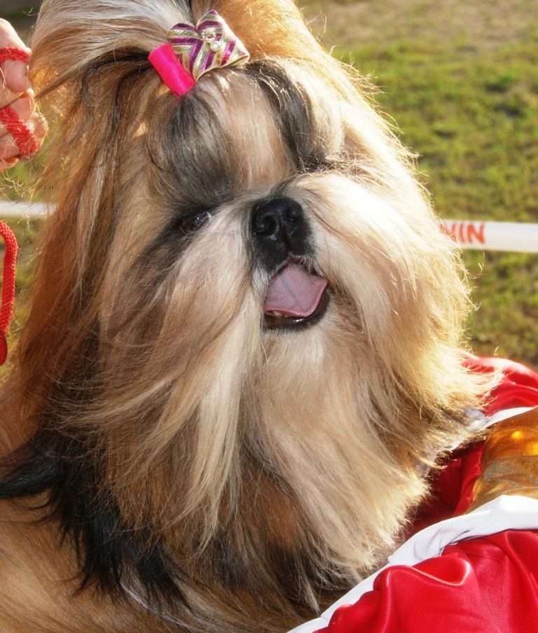 DSC08583.jpg
