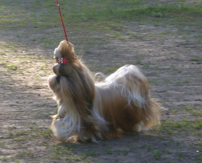 DSC08603.jpg