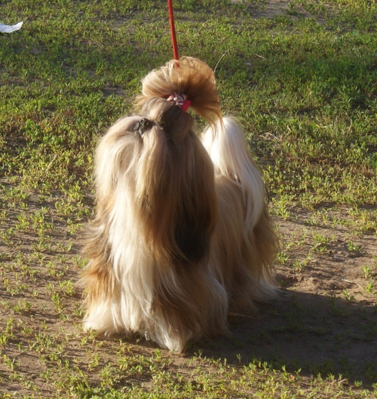 DSC08605.jpg