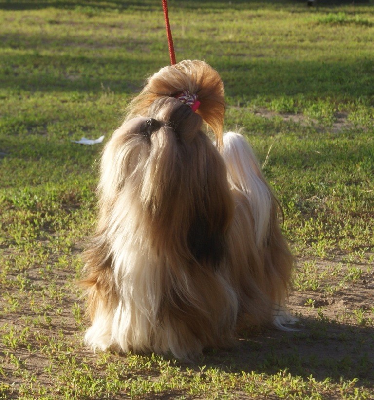 DSC08607.jpg