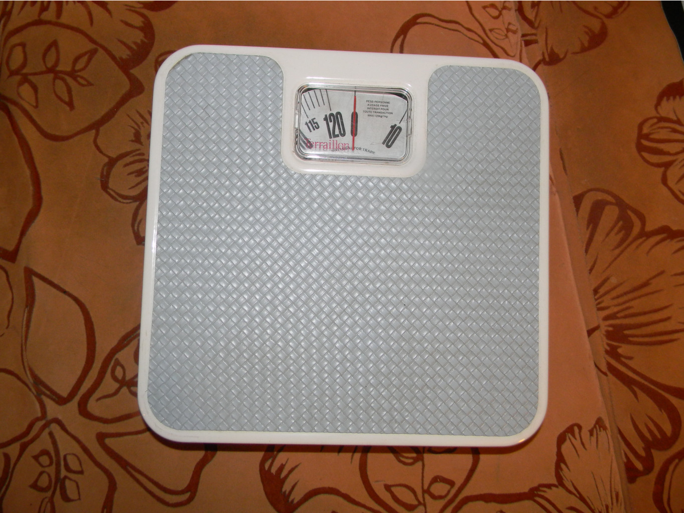 DSCN4667.JPG