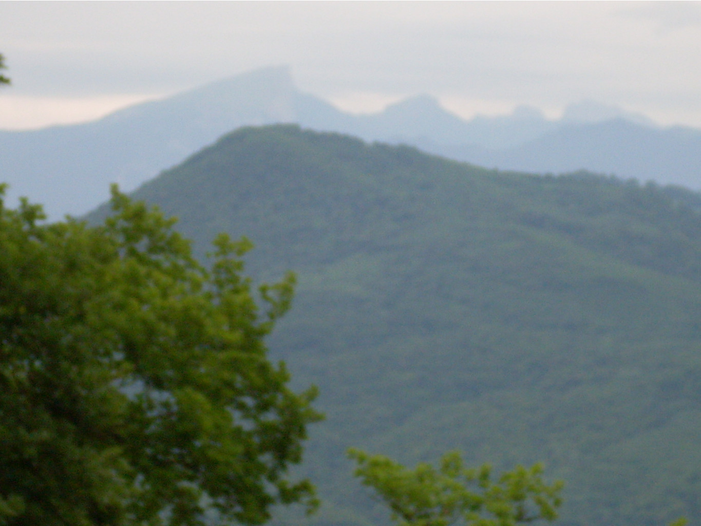 SDC11630.JPG