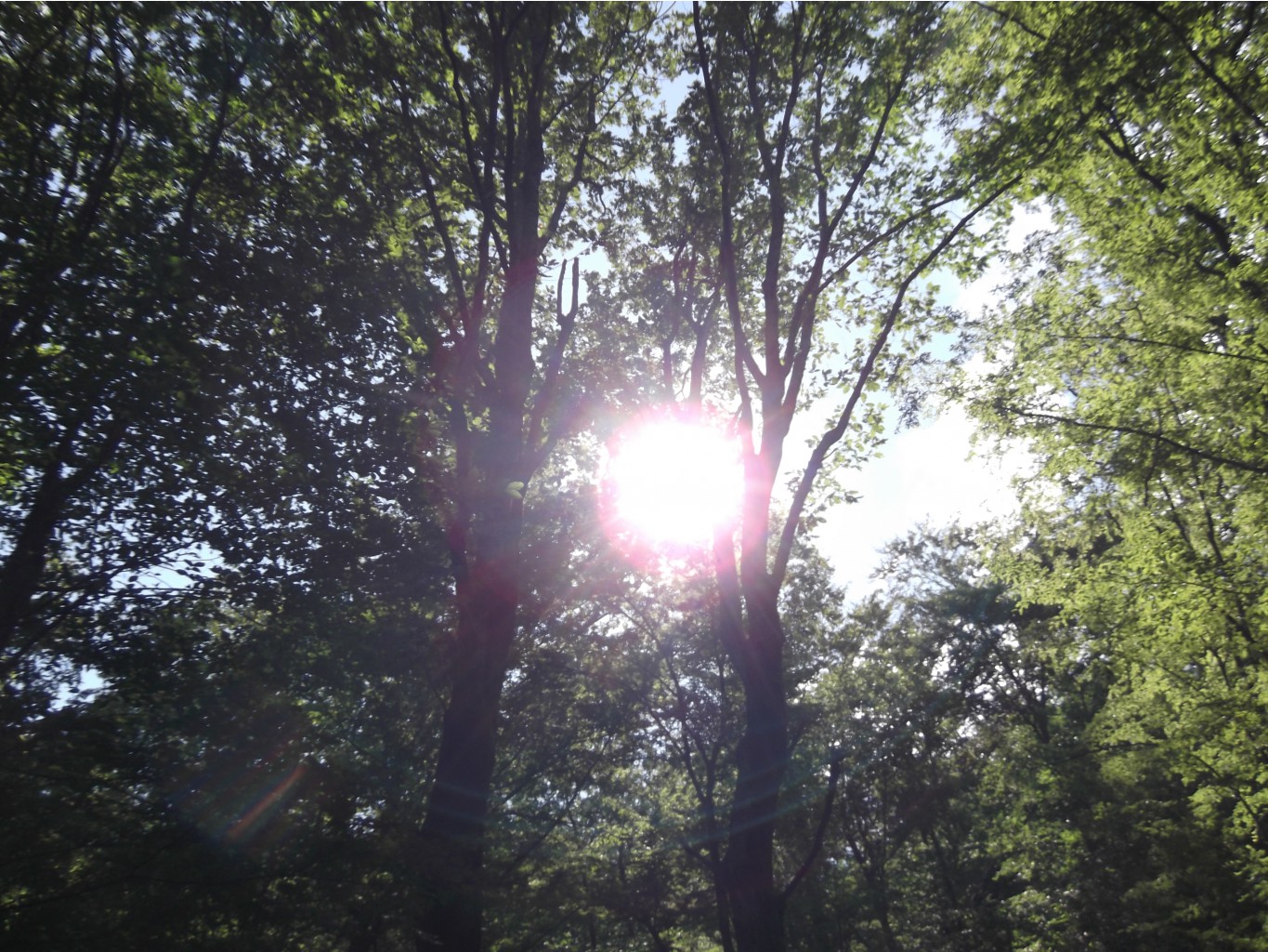 DSCF1606.JPG