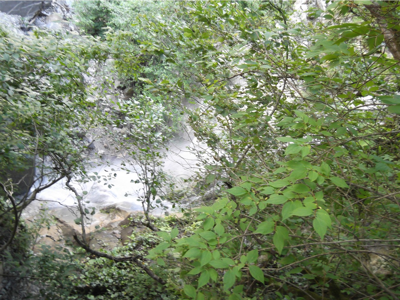 DSCF1688.JPG