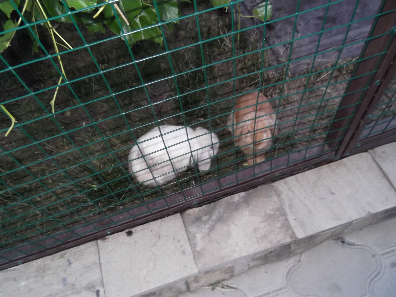 DSCF1800.JPG
