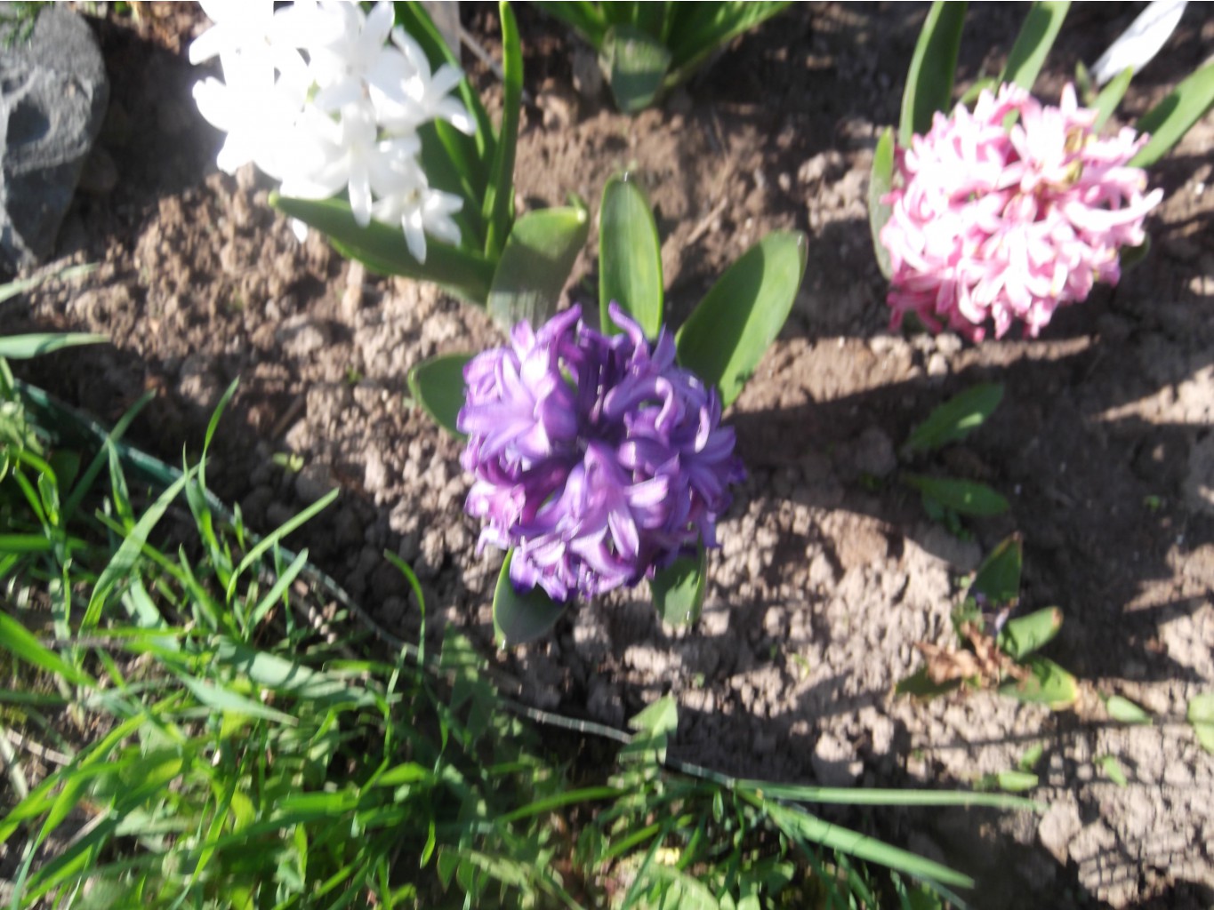 DSCF4578.JPG
