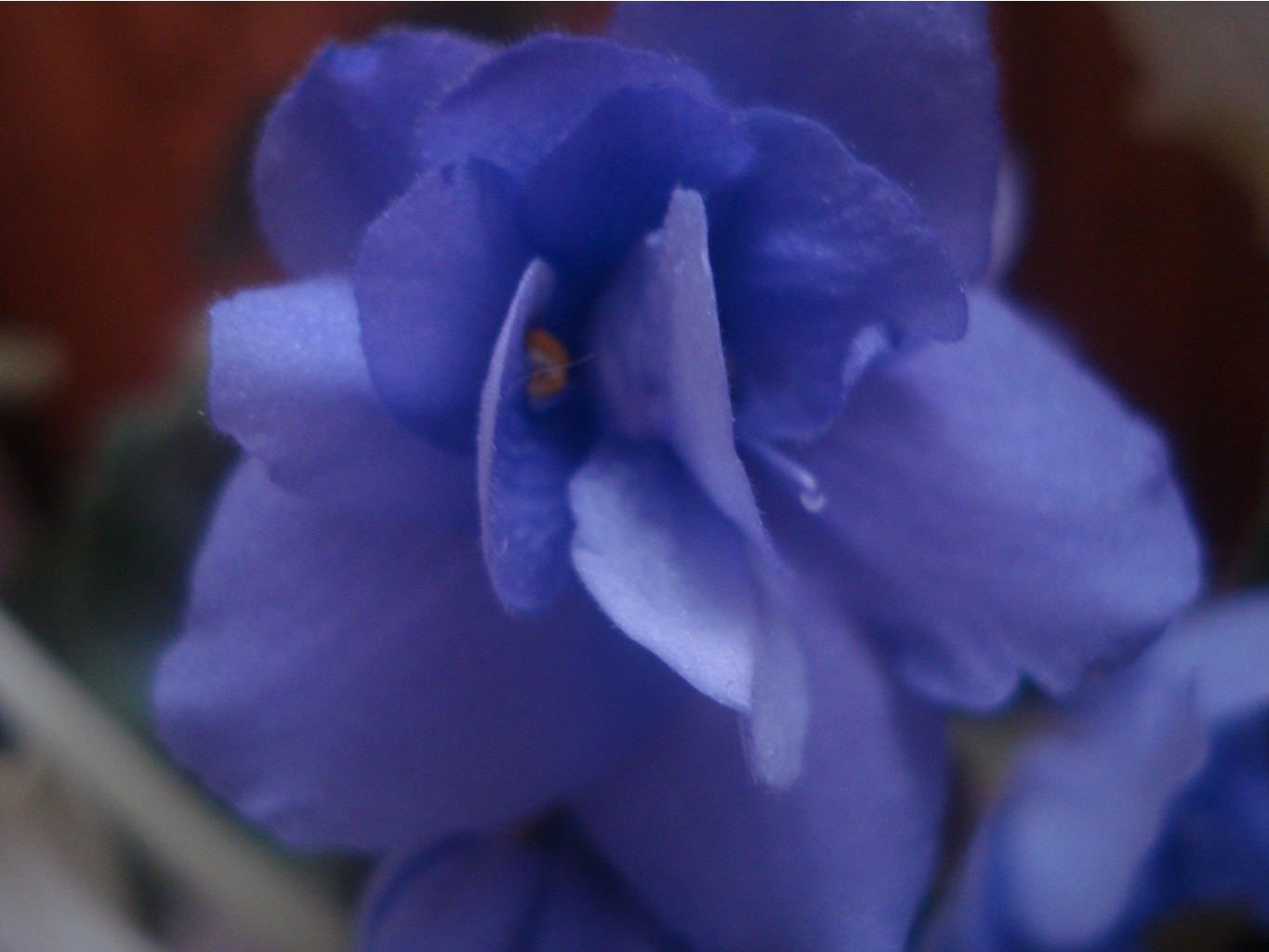 DSC05600.JPG
