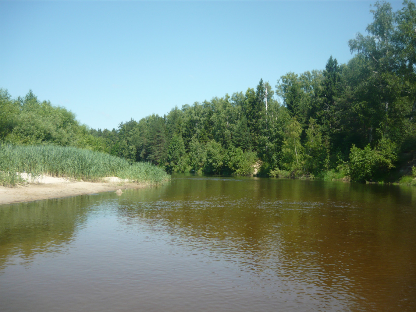 P1260700.JPG