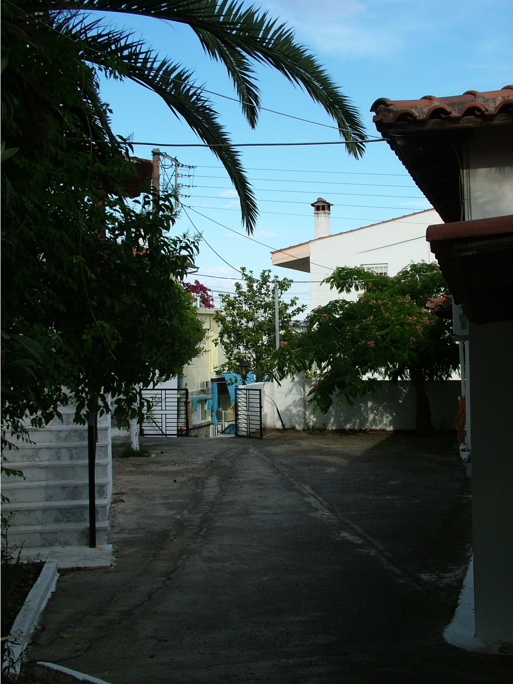 DSCF2025.JPG