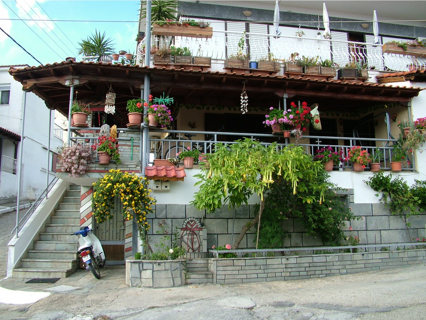 DSCF2028.JPG
