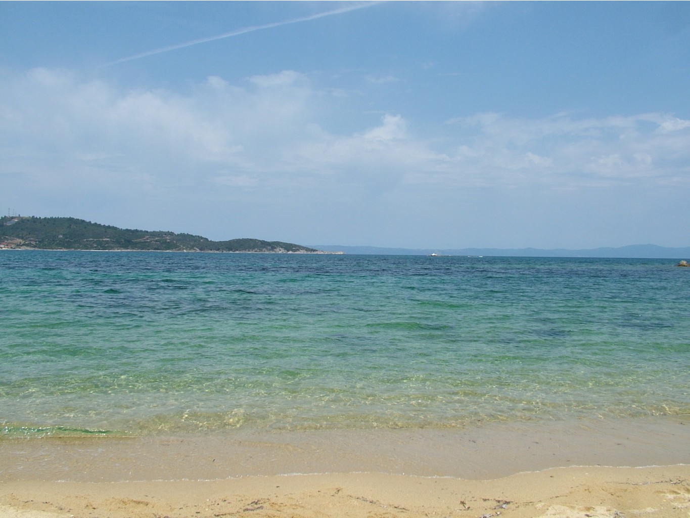 DSCF2281.JPG