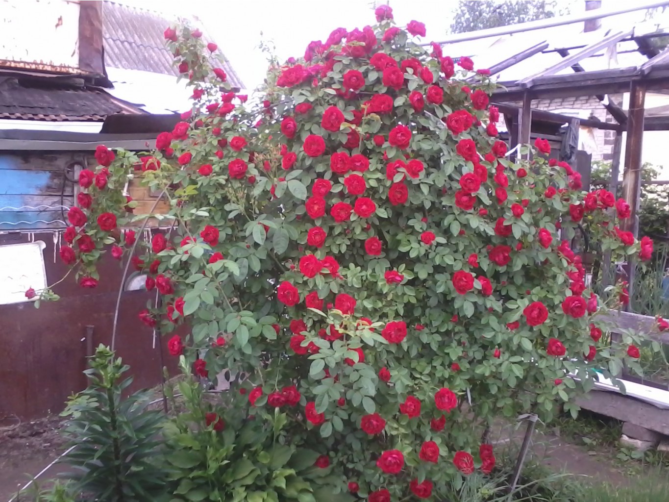 20130618_193436.jpg