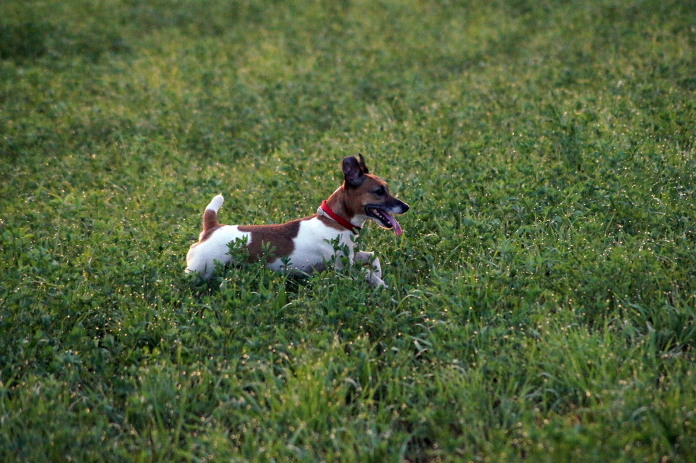 DSC00399.jpg