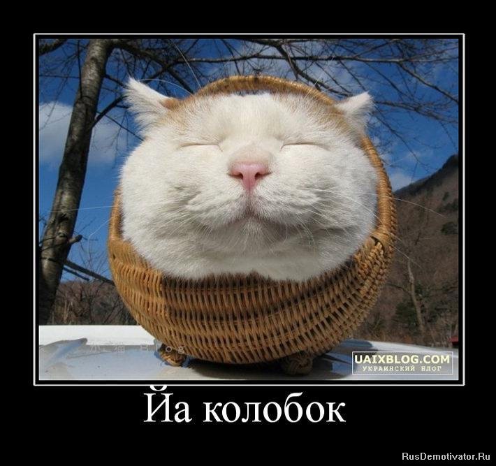 колобок.jpg