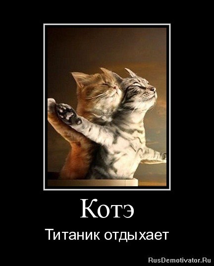 котэ.jpg