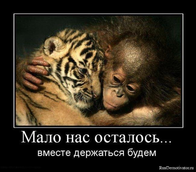 мало.jpg