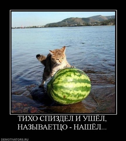 Тихо спиздил и ушел.jpg