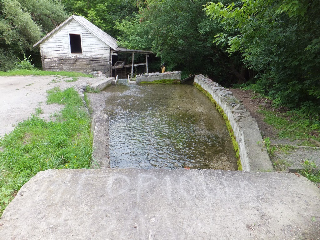 DSCF8036.JPG