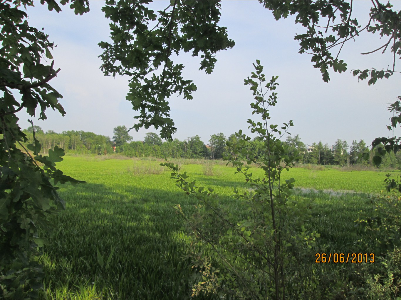 IMG_1074.JPG