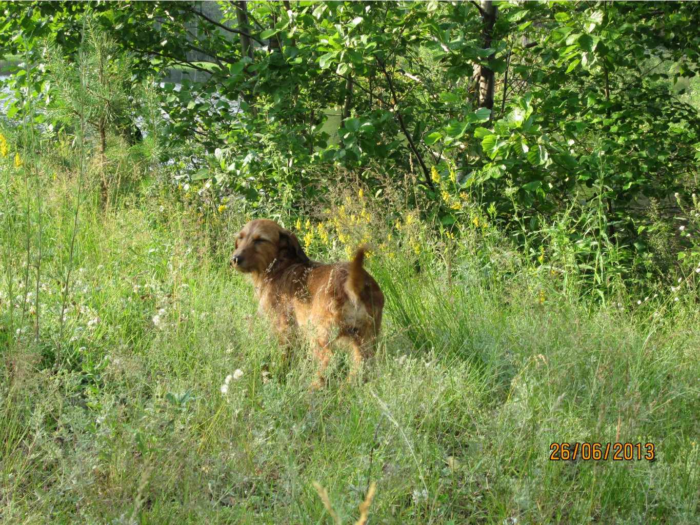 IMG_1079.JPG
