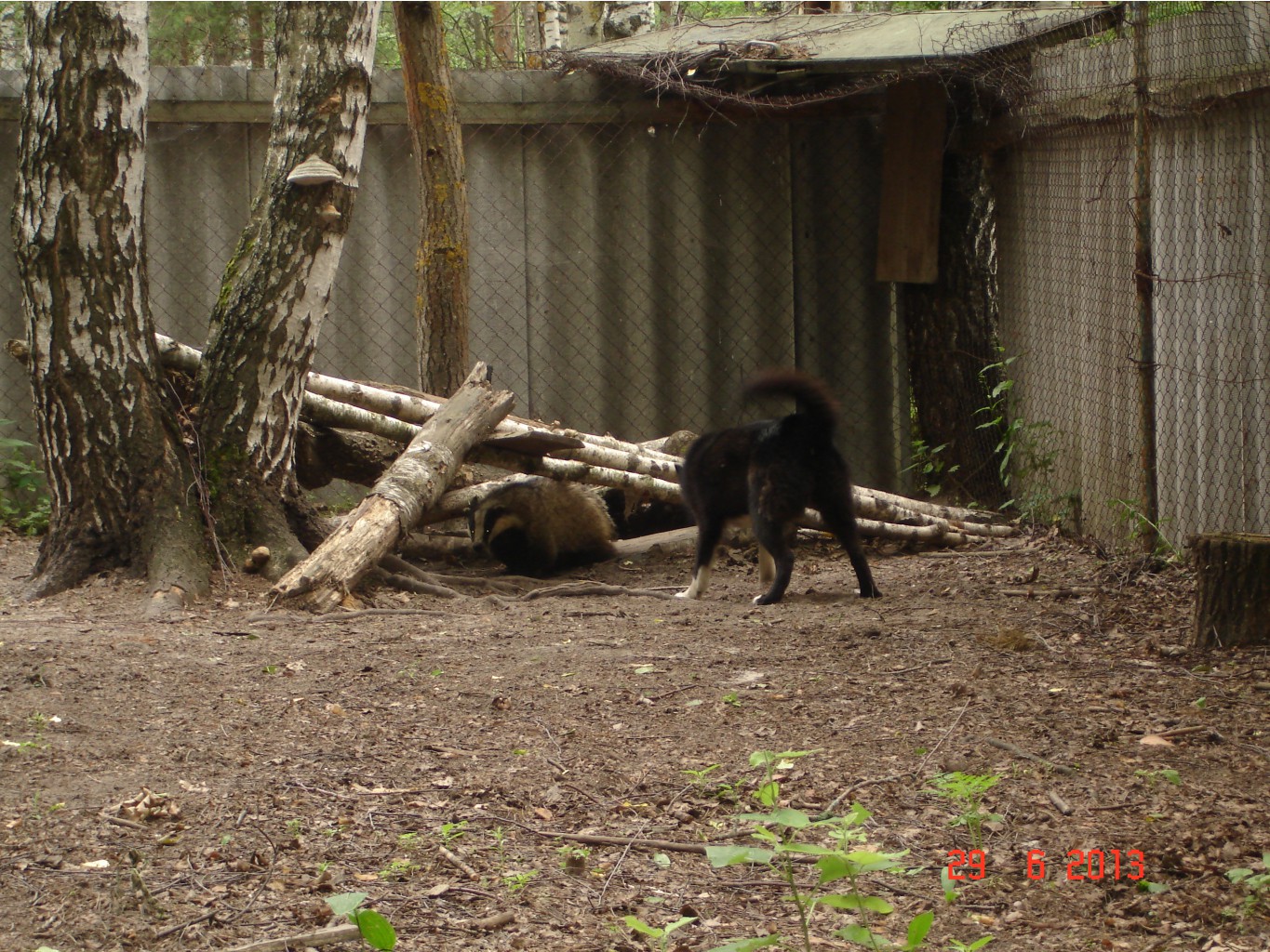 DSC07817.JPG