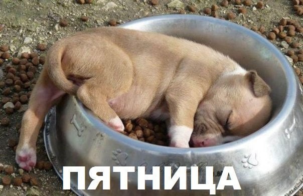 Пятница.jpg
