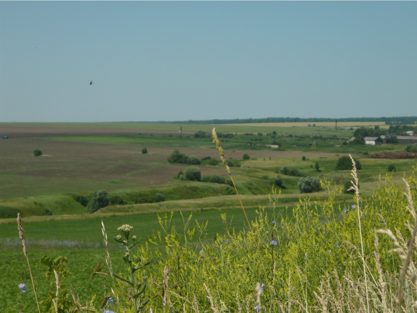 P1270177.JPG