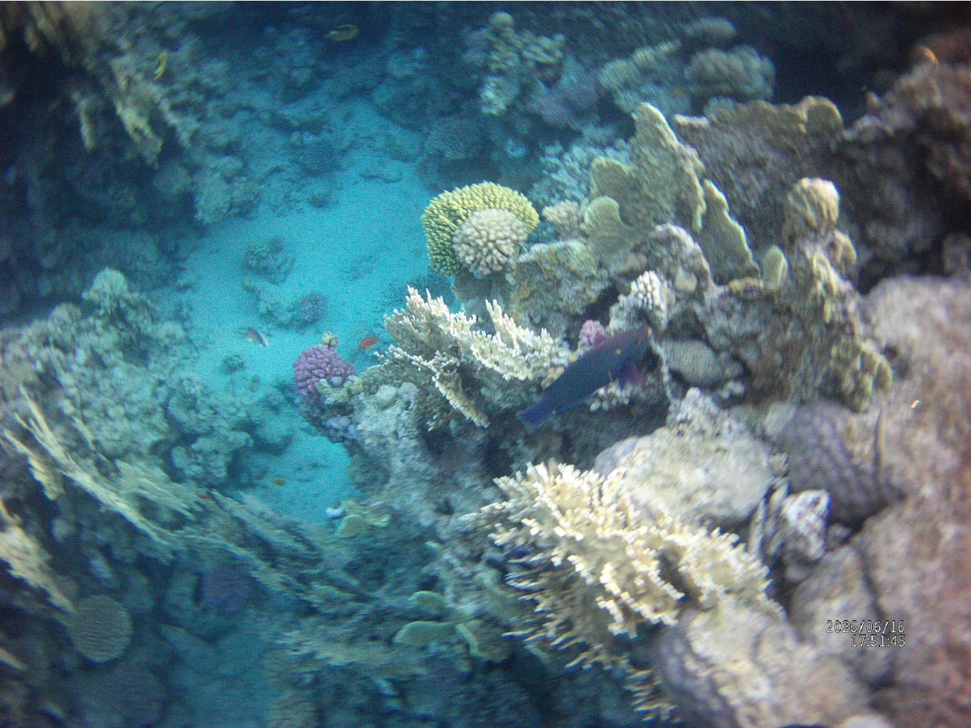 FILE0054.JPG