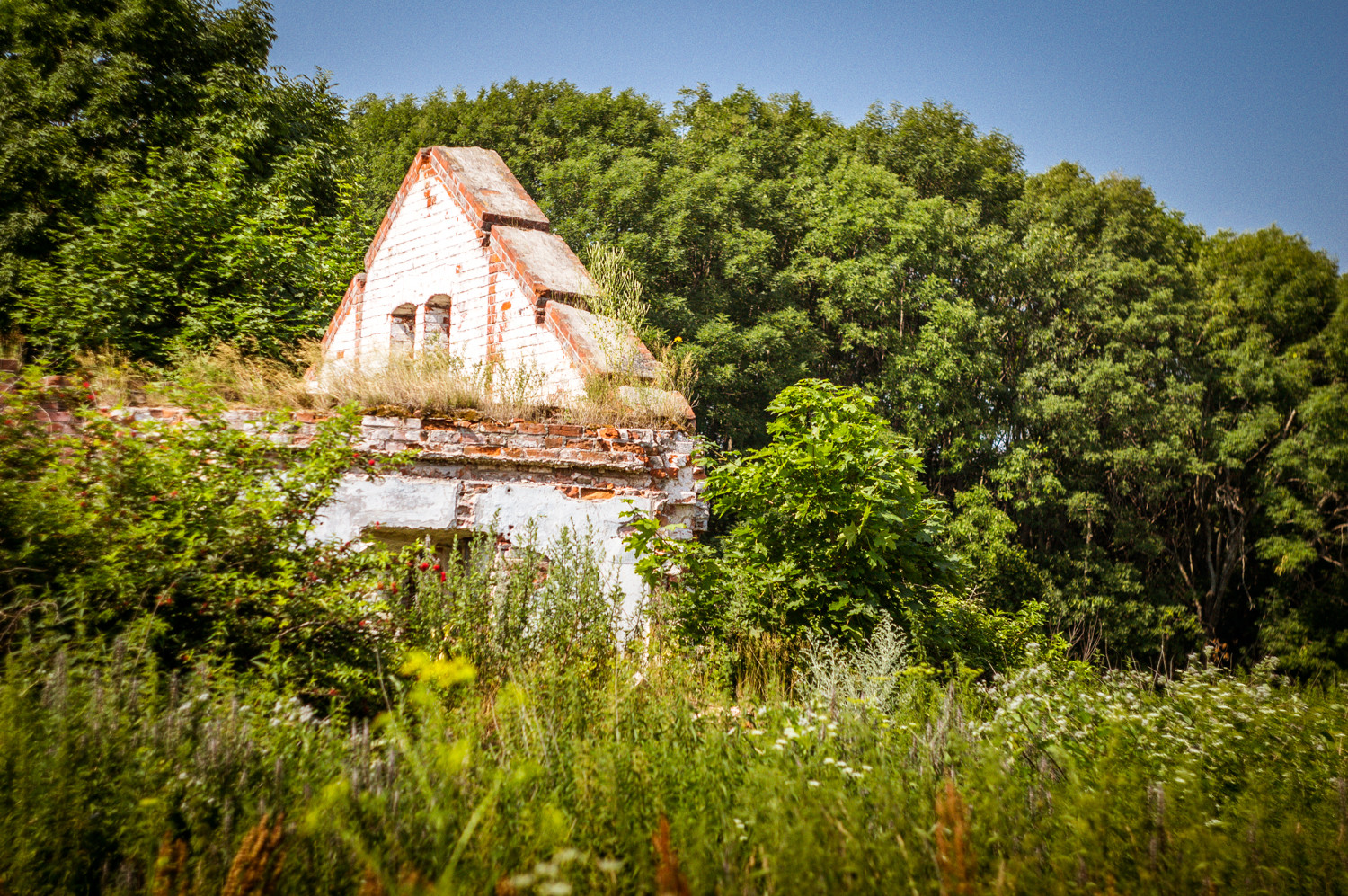 20130706-DSC01747.jpg