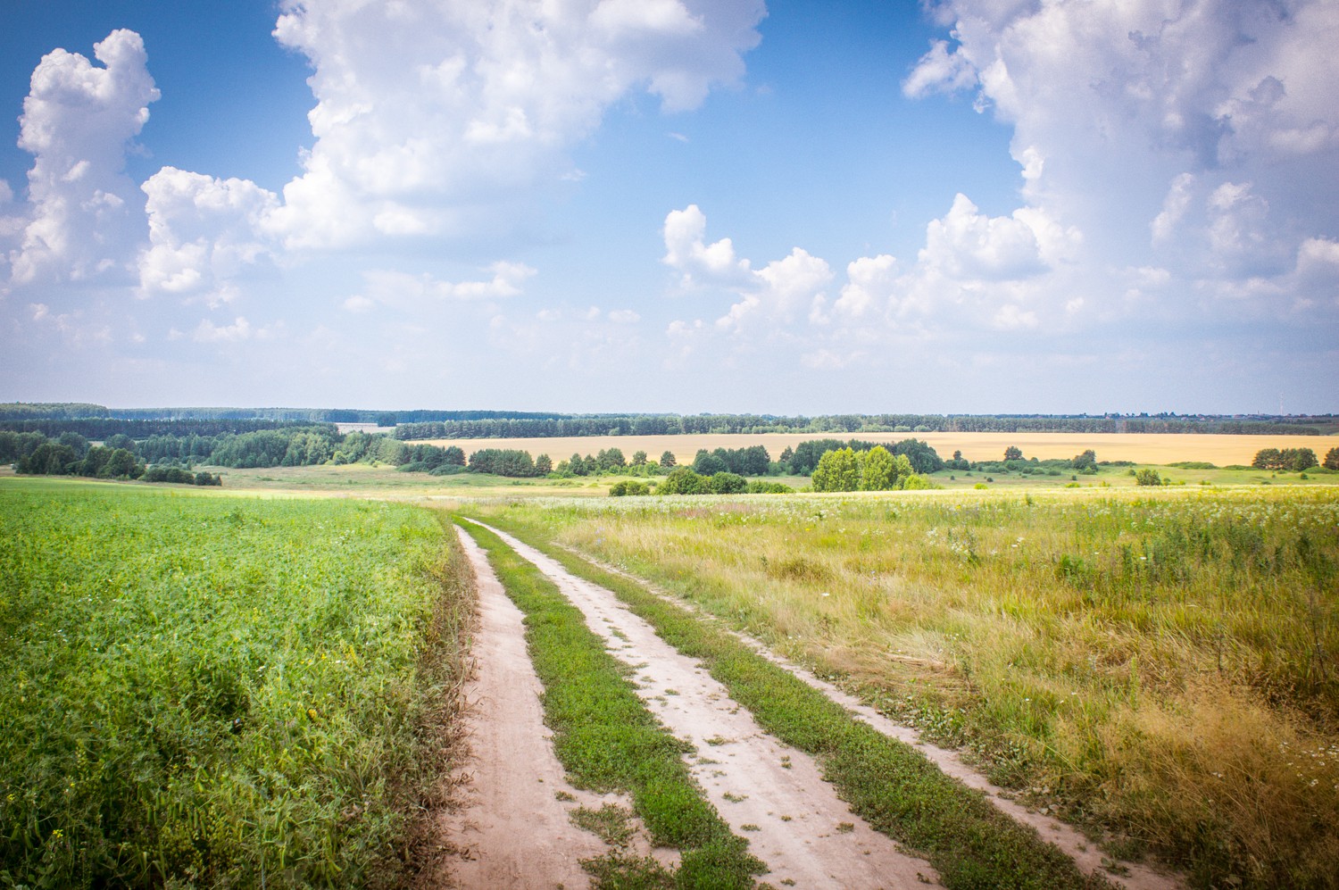 20130706-DSC01839.jpg