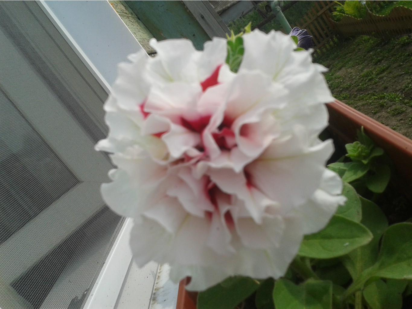 20130627_161439.jpg