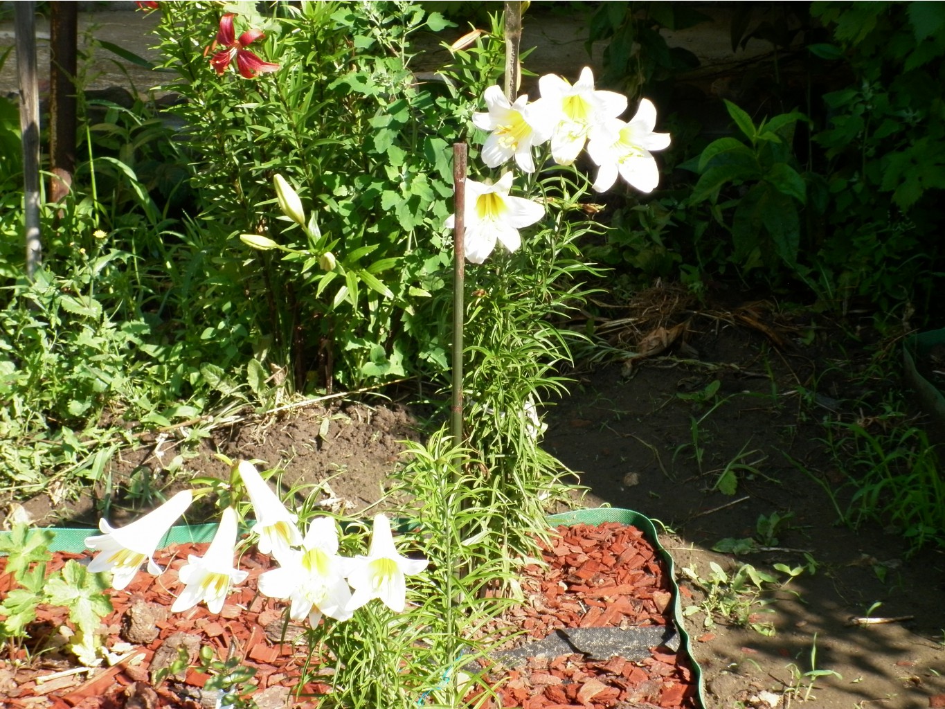 P1010210.JPG