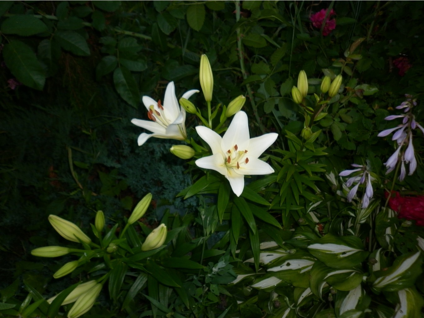 P1010223.JPG