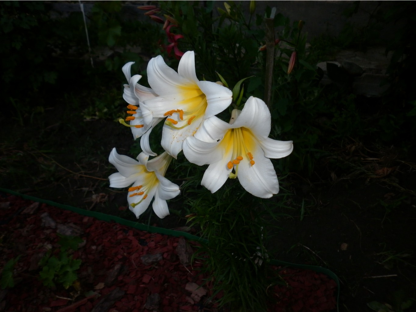 P1010235.JPG