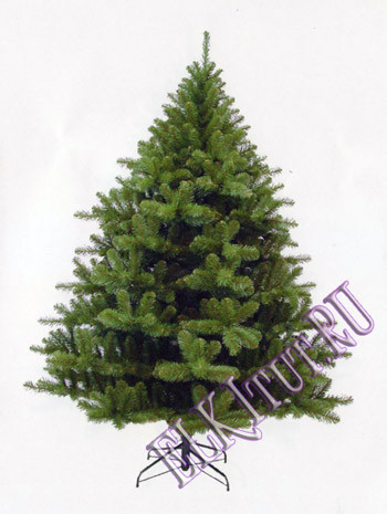   (NORWAY Spruce) 120    _1797,90 .jpg