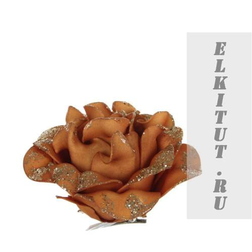 817444_ ,  12  () . _22,58 .jpg