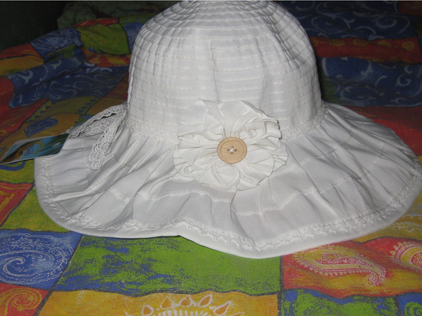 D520.jpg