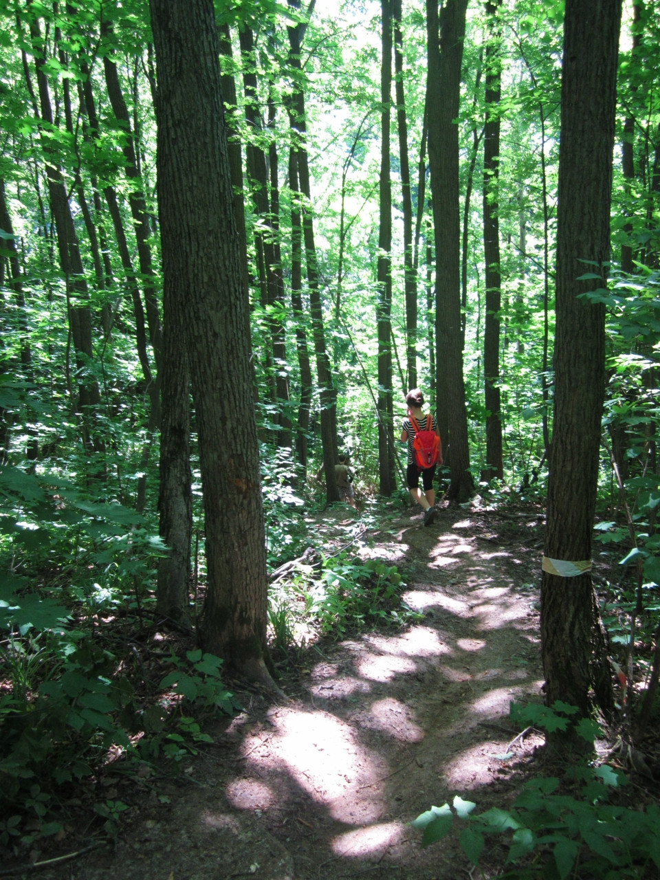 0_924f0_f1a8c147_XXXL.jpg